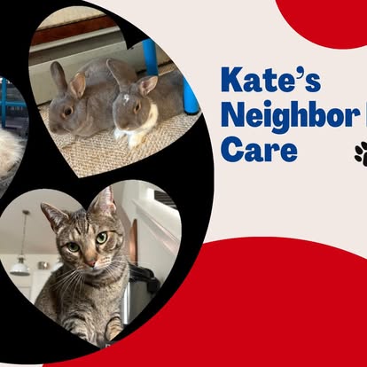 Cats and bunnies cared for by Kate